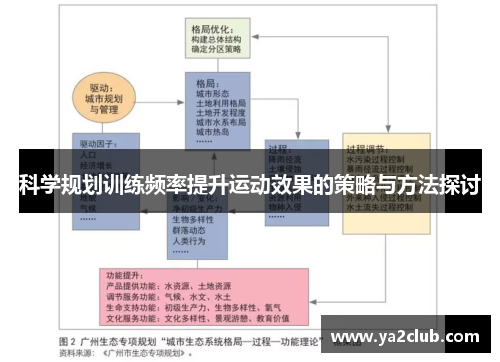 科学规划训练频率提升运动效果的策略与方法探讨