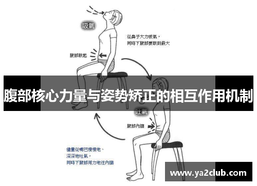 腹部核心力量与姿势矫正的相互作用机制