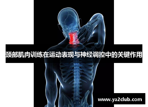 颈部肌肉训练在运动表现与神经调控中的关键作用